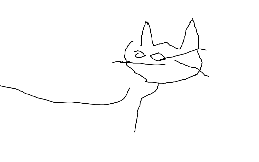 cat.png